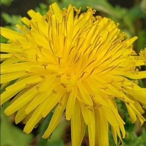 Meet your Posher, Ruby